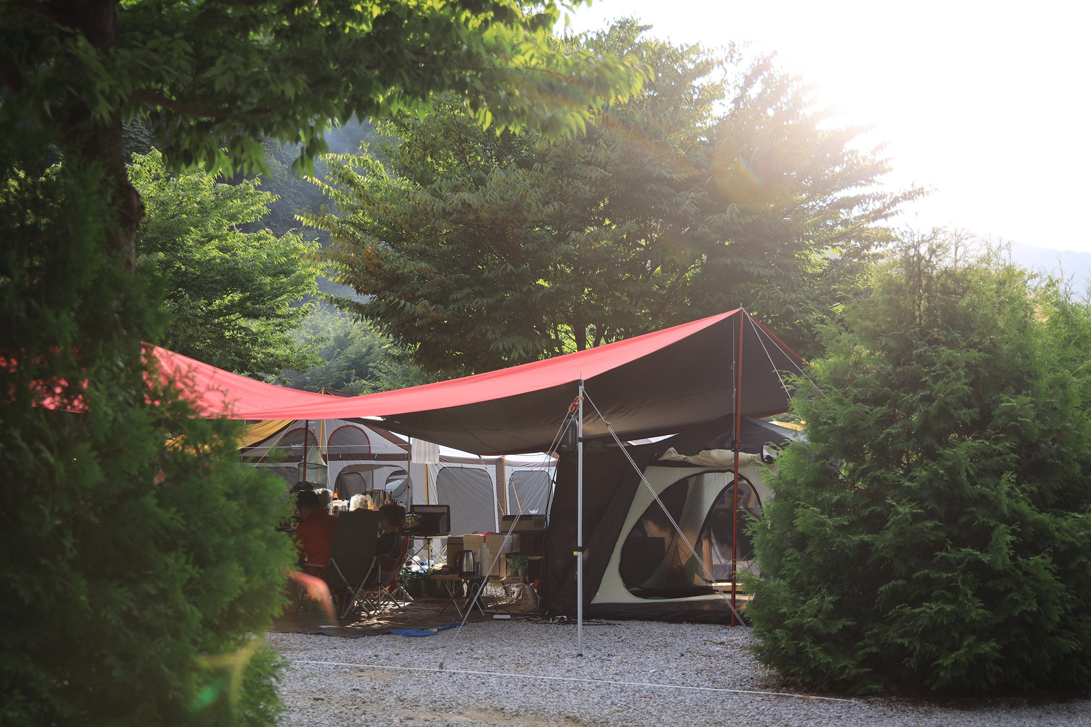 내리계곡 솔밭캠핑장