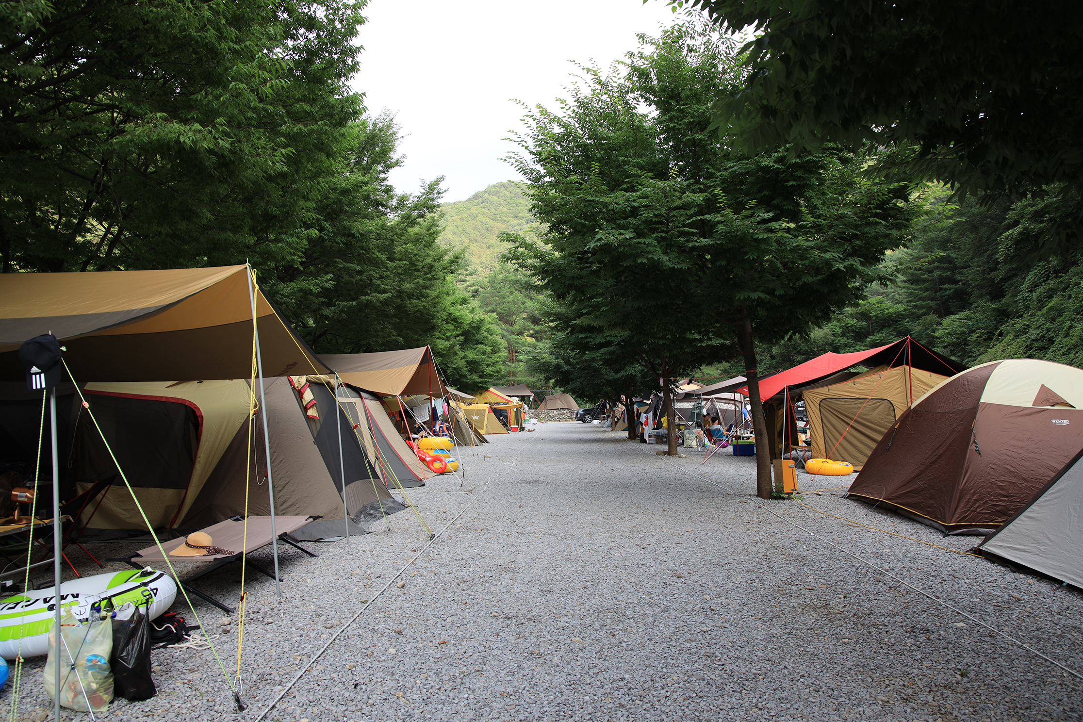 내리계곡 솔밭캠핑장