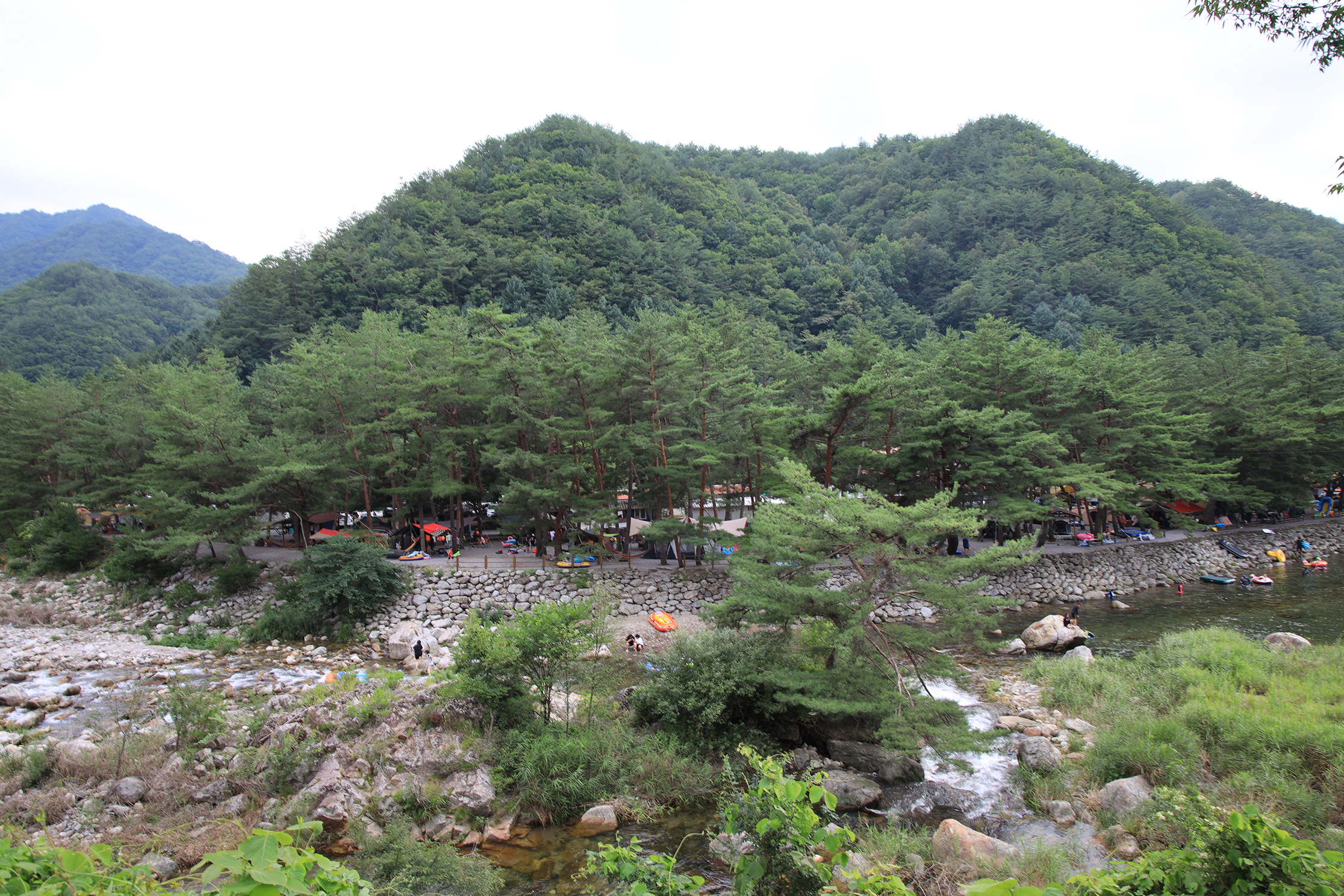 내리계곡 솔밭캠핑장