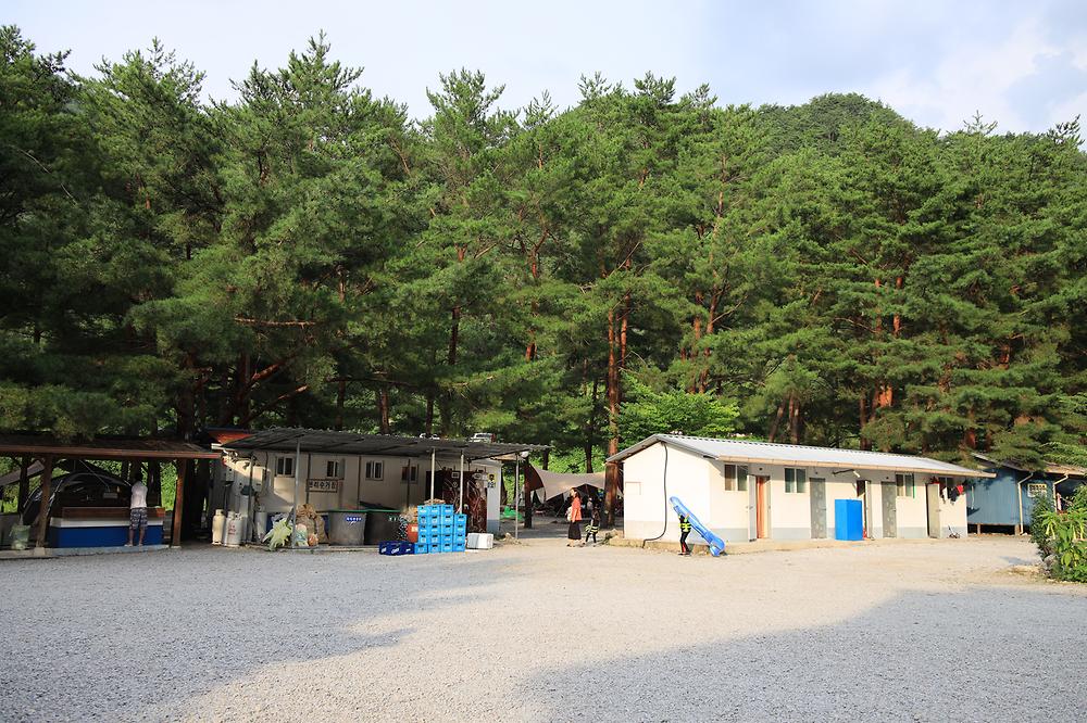 내리계곡 솔밭캠핑장