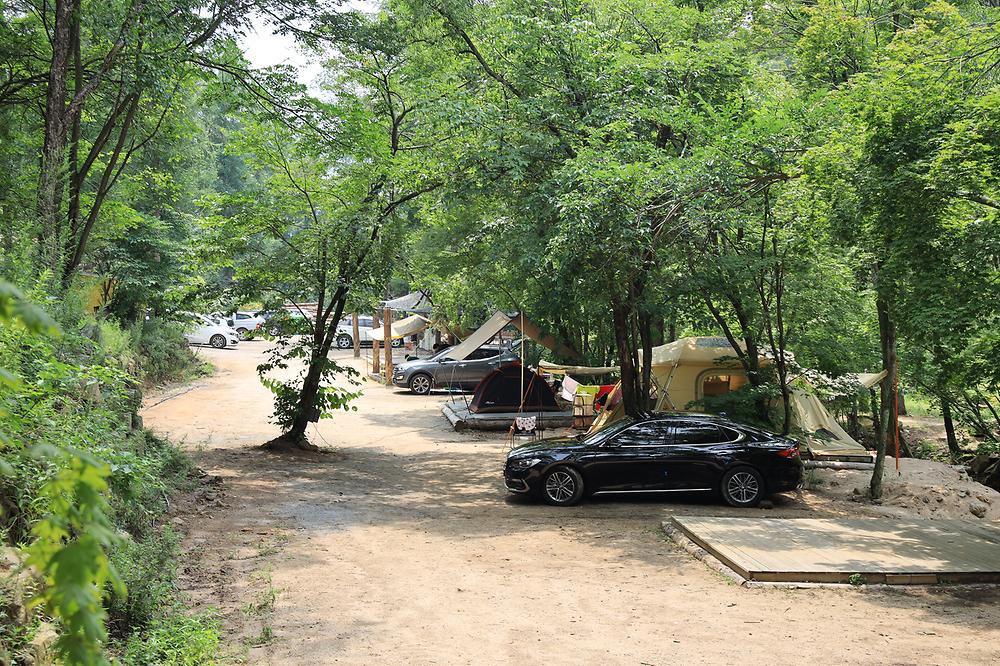 평창 태기산 캠핑장 펜션