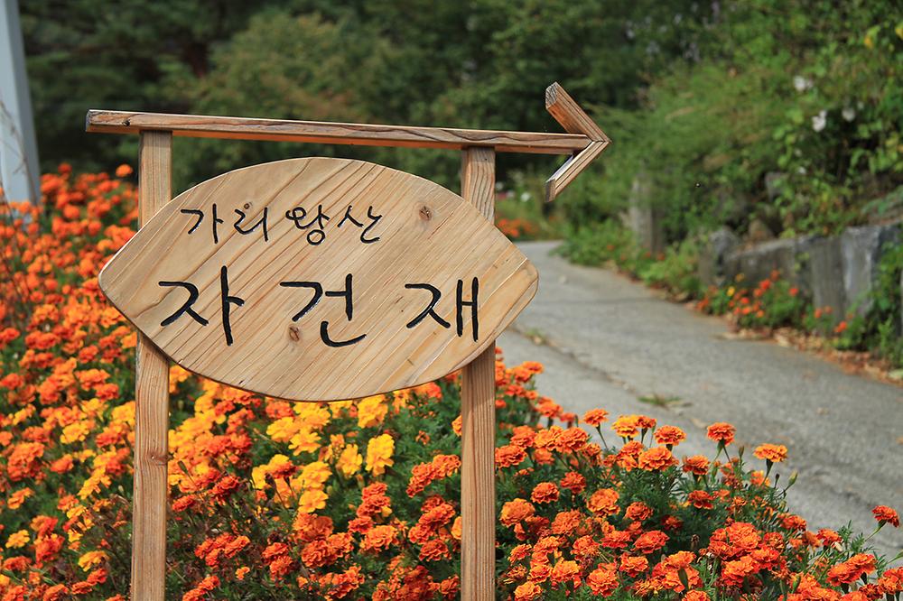 가리왕산 자건재