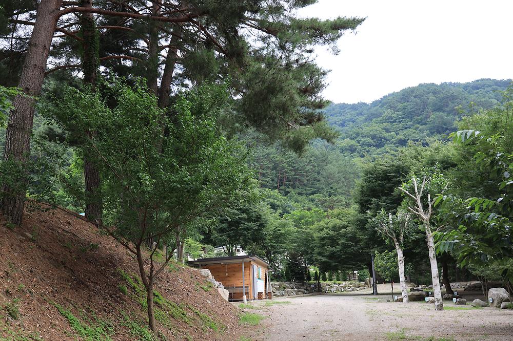 폭포 캠핑 야영장