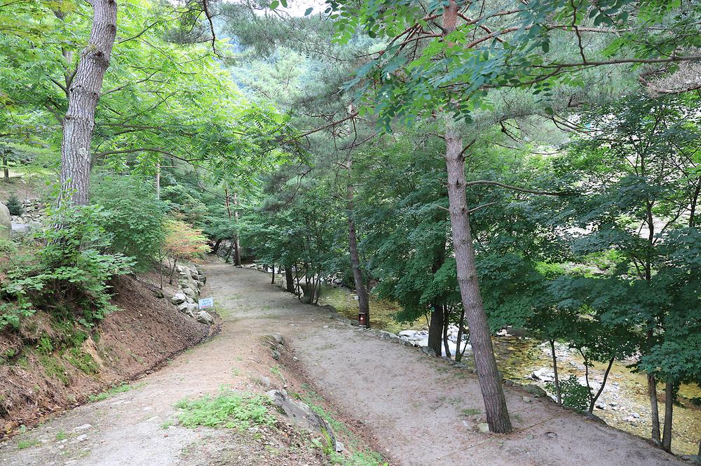 폭포 캠핑 야영장
