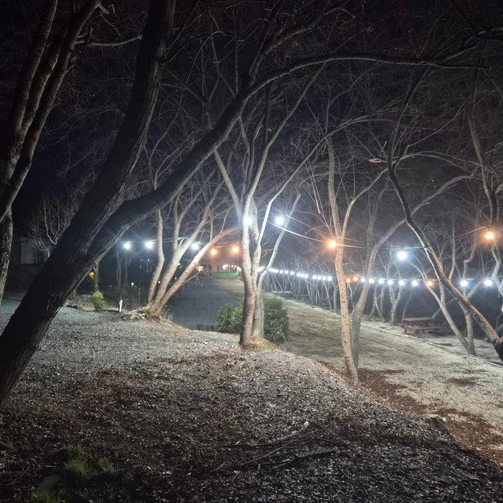 배론의아침