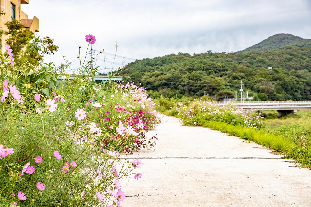 정안 글램핑