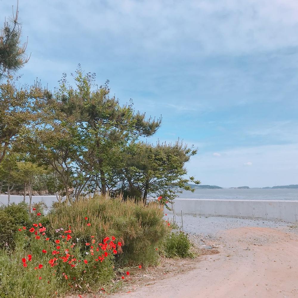 팔봉갯벌체험야영장