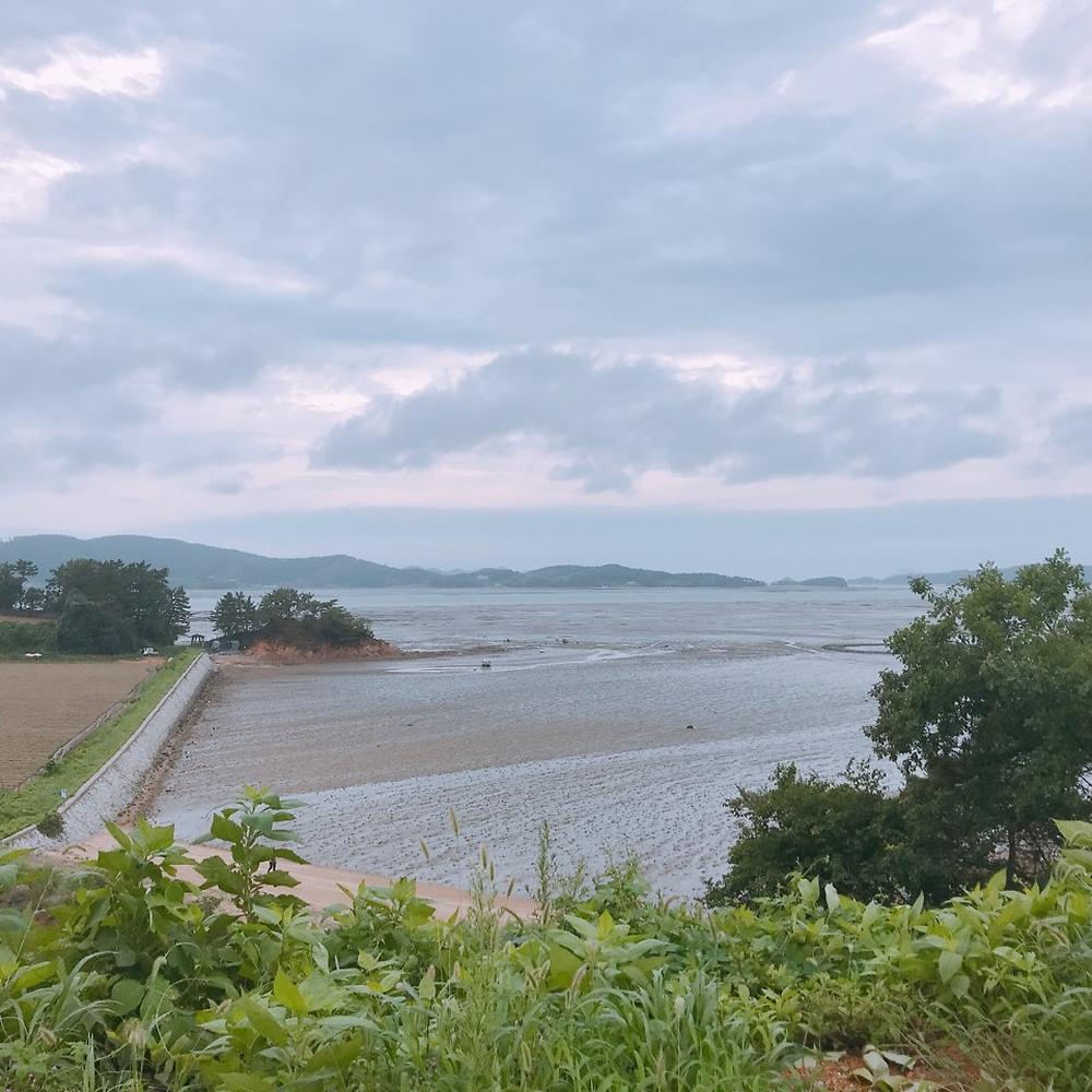 팔봉갯벌체험야영장