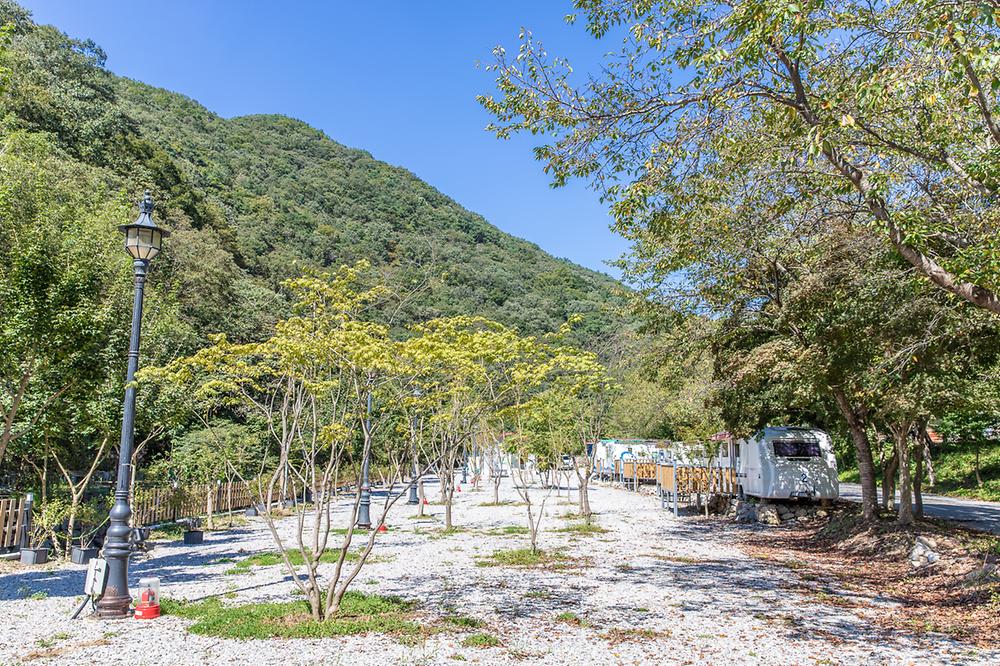 핫캠핑장