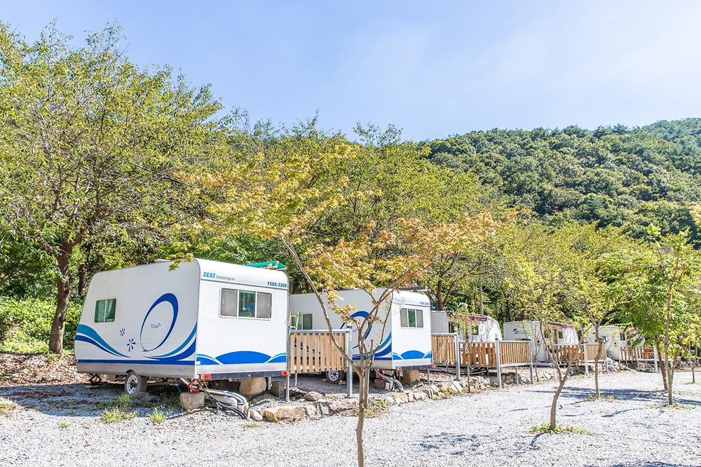 핫캠핑장