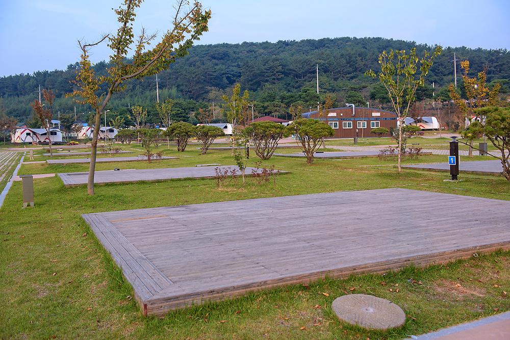 회산백련지 오토캠핑장
