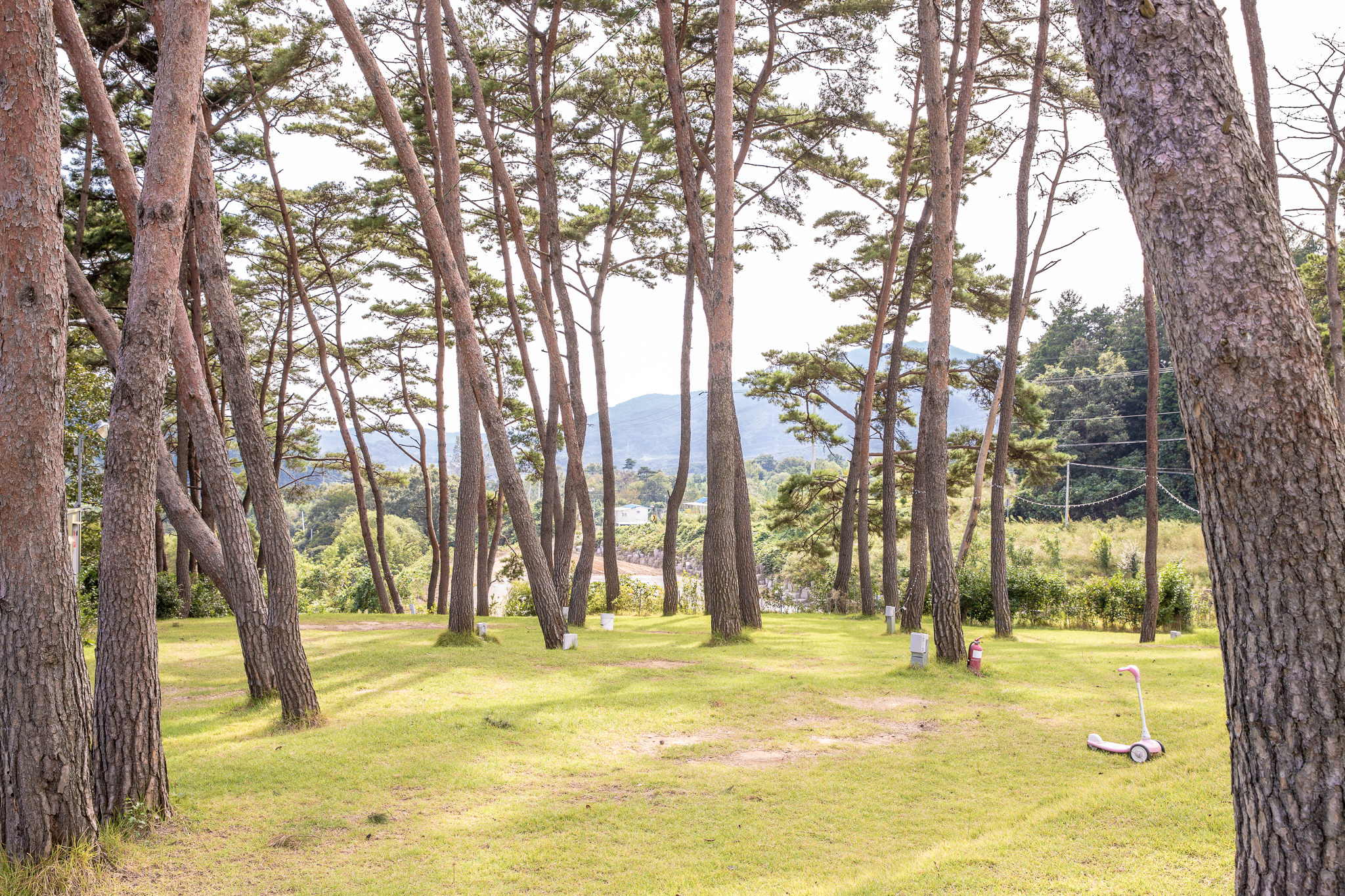 솔내음 물댄동산 야영장