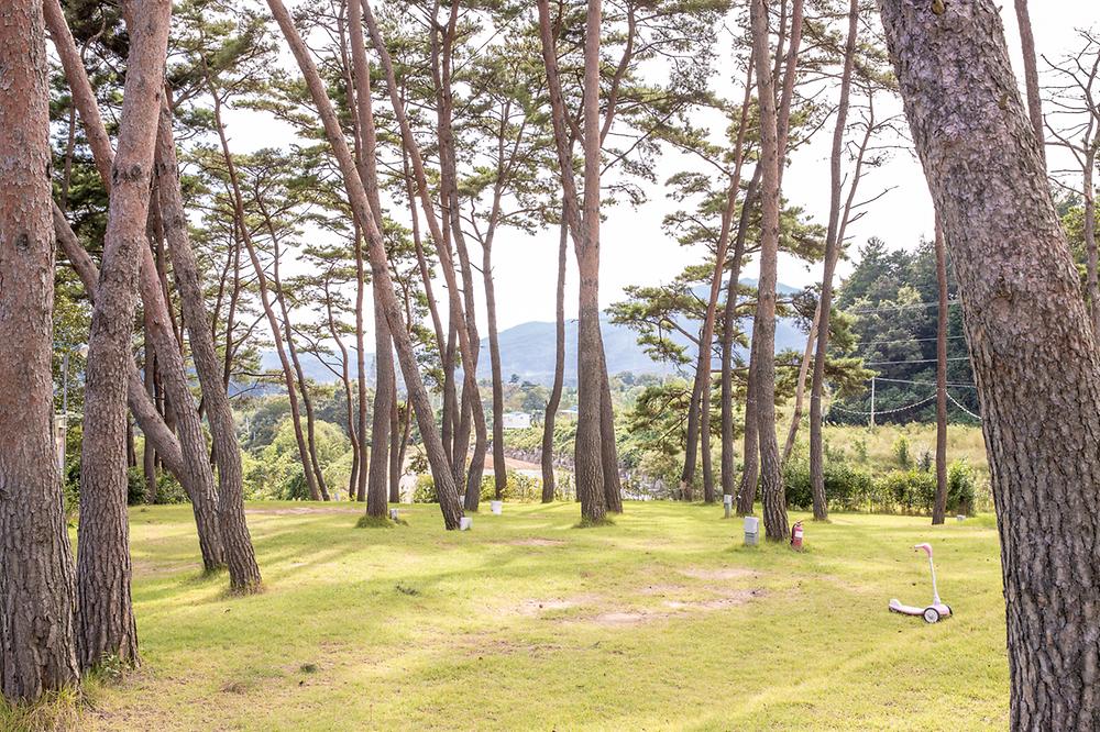 솔내음 물댄동산 야영장