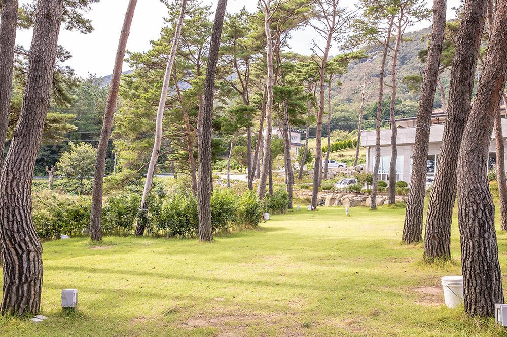 솔내음 물댄동산 야영장