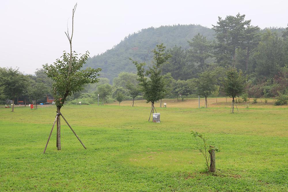 숲속의드림캠프야영장