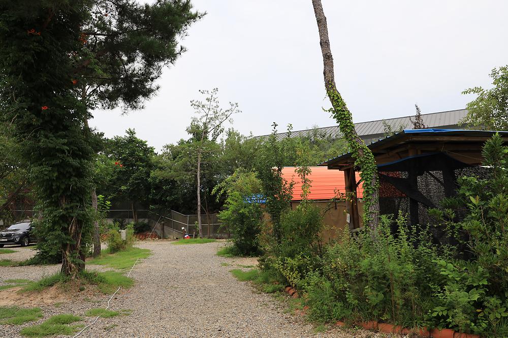 용천수캠핑장