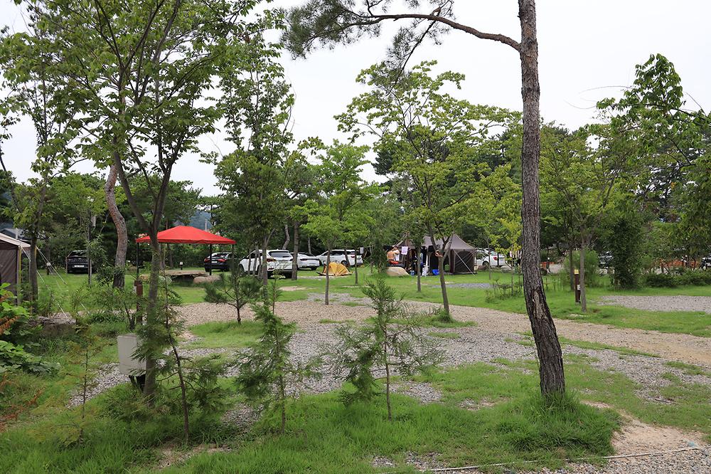 용천수캠핑장