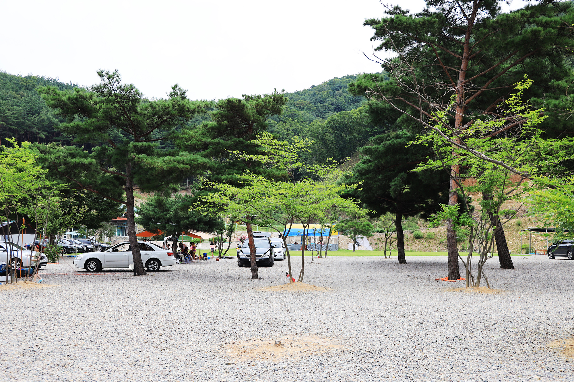 경주 더숲 관광농원