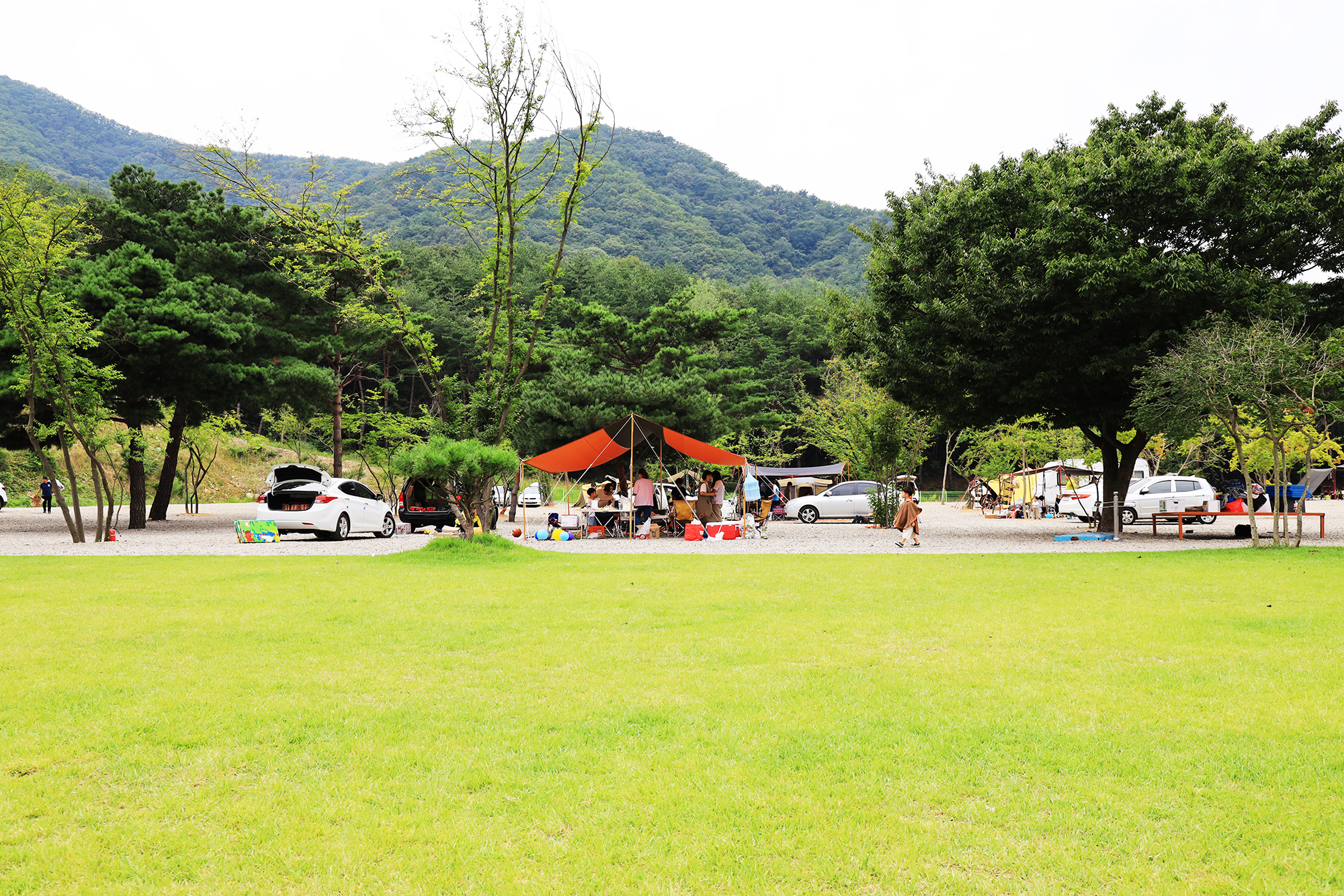 경주 더숲 관광농원