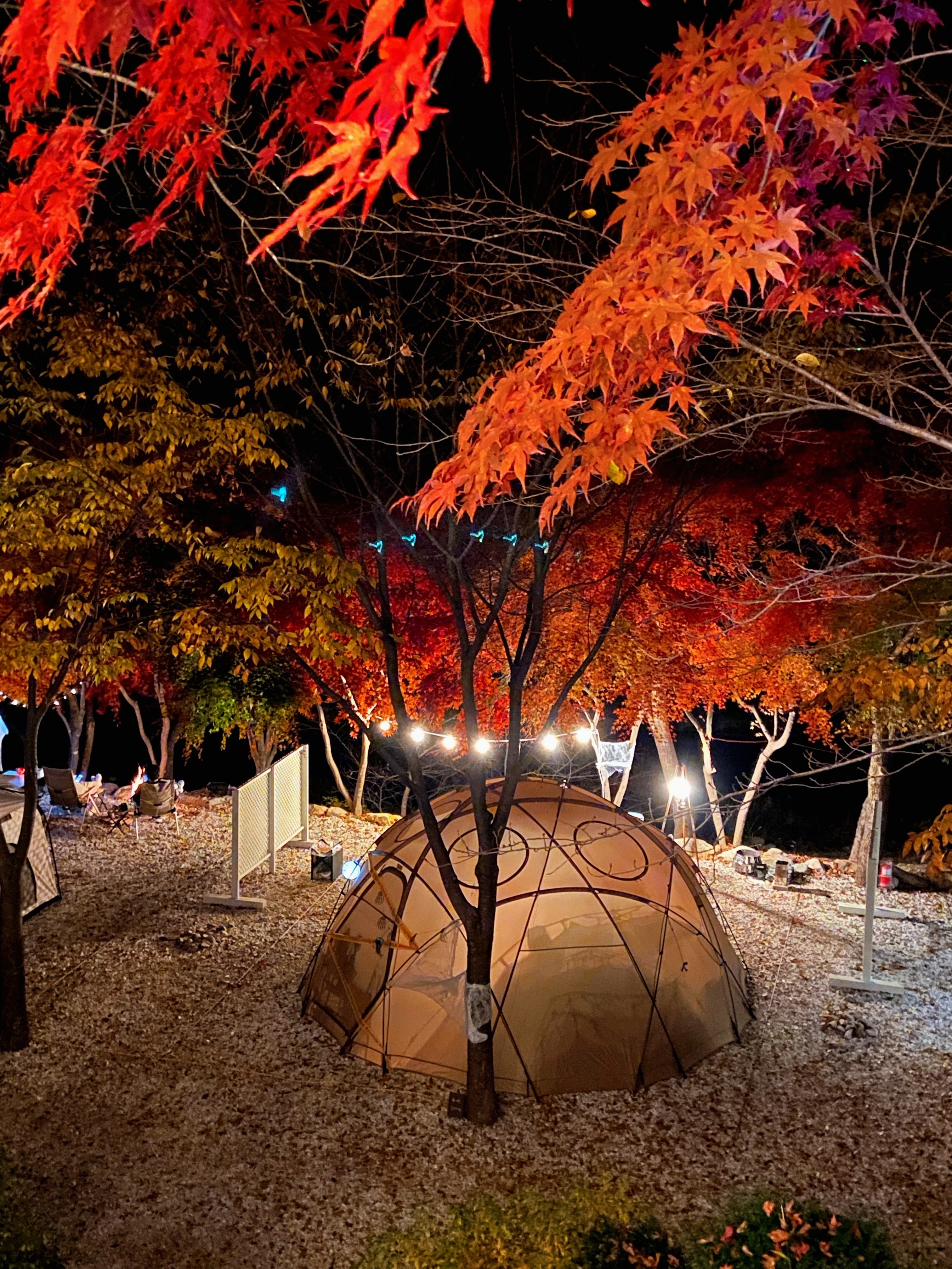 봉화별캠핑장