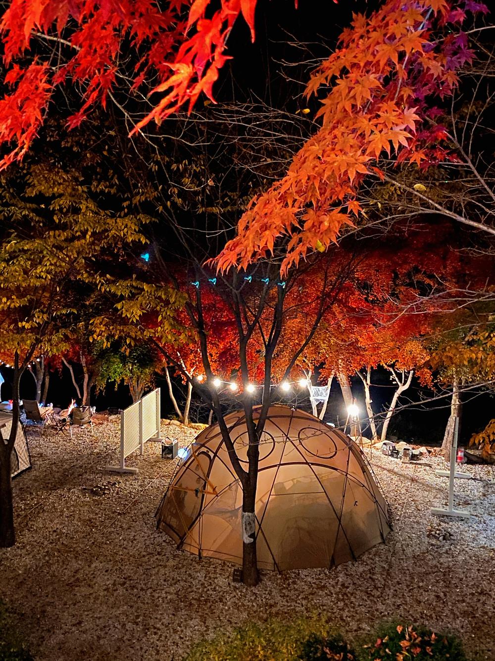 봉화별캠핑장