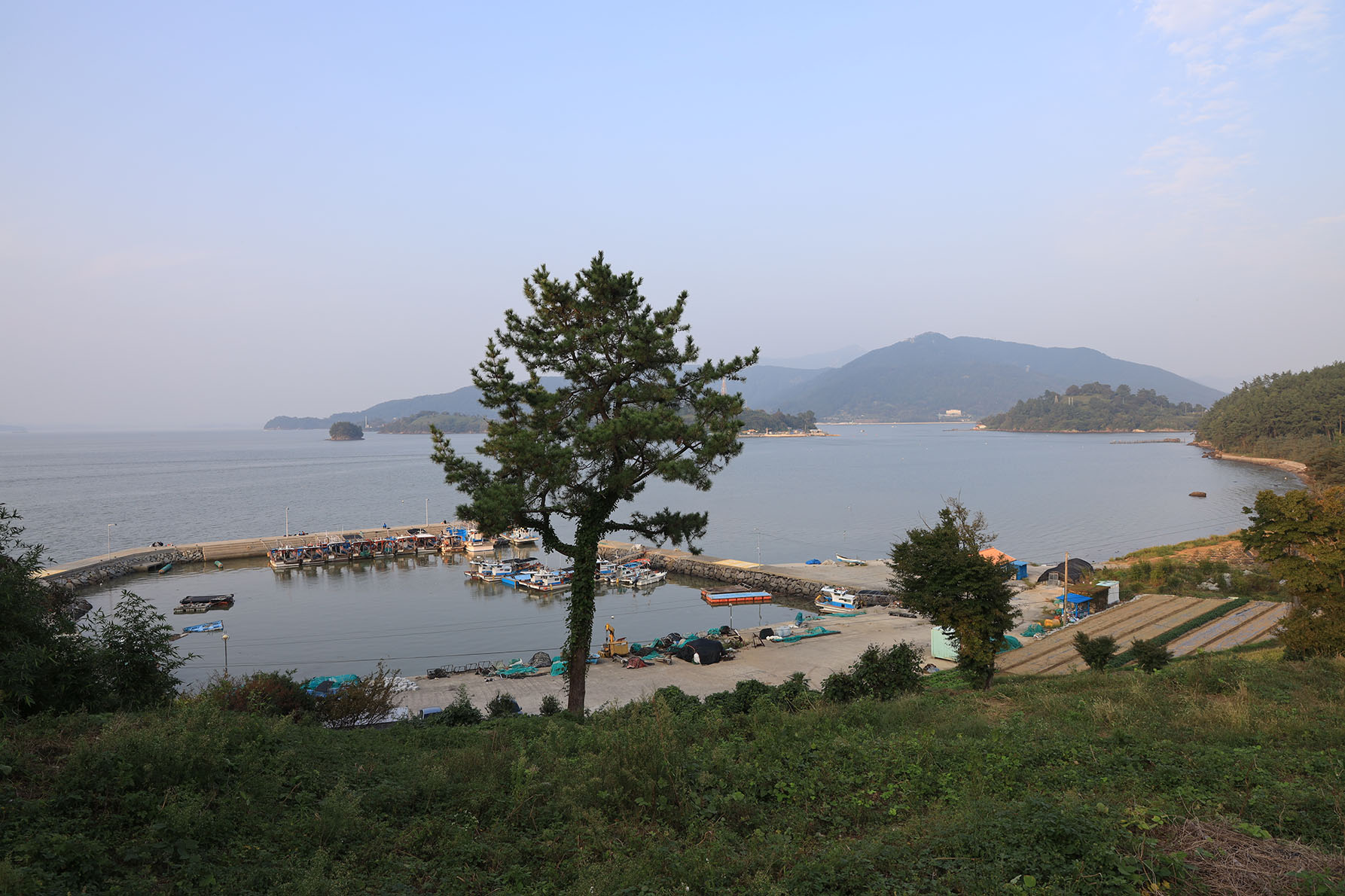 버드하우스 캠핑장