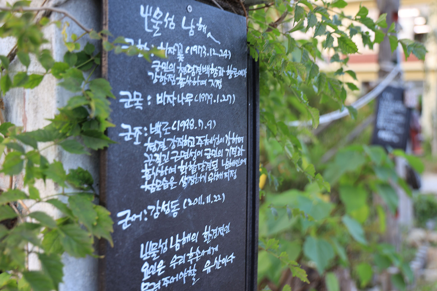 버드하우스 캠핑장