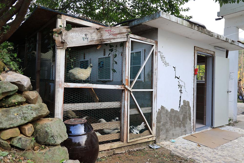버드하우스 캠핑장