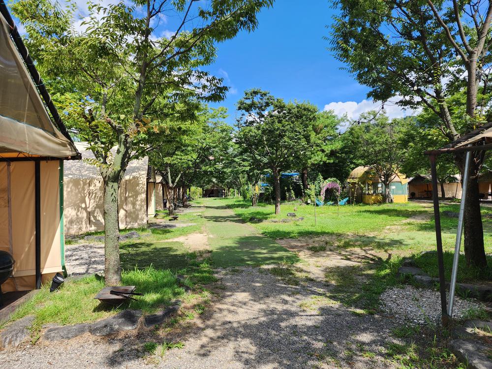 양주 탑 관광농원 글램핑장