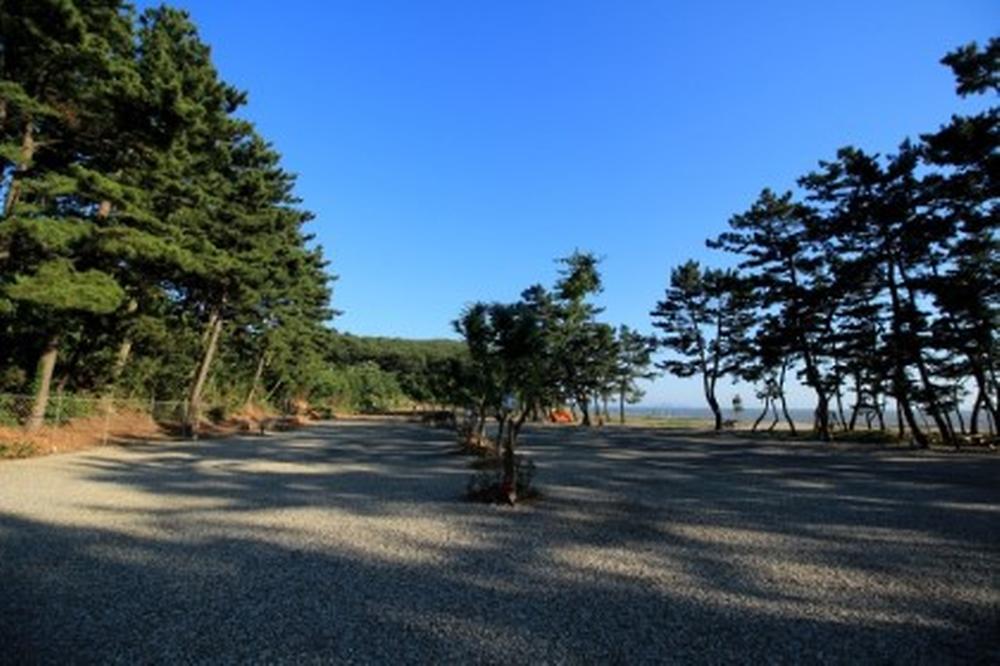 나라펜션캠핑장