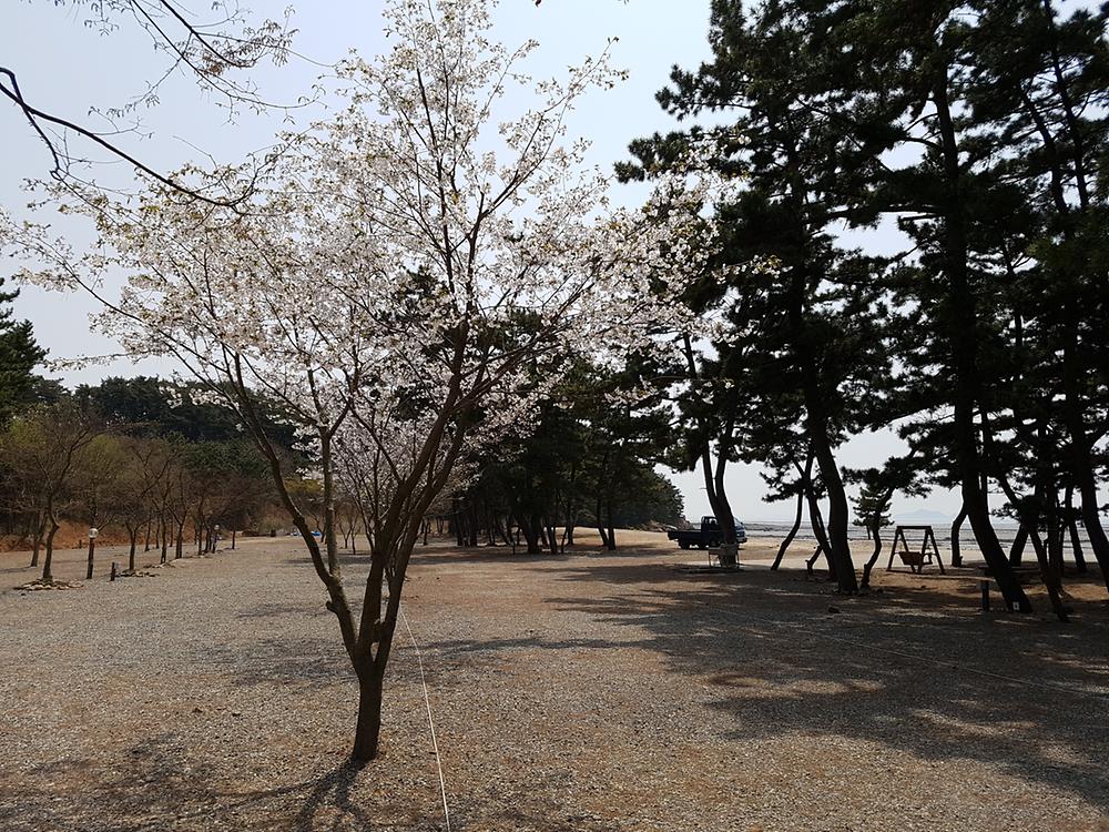 나라펜션캠핑장