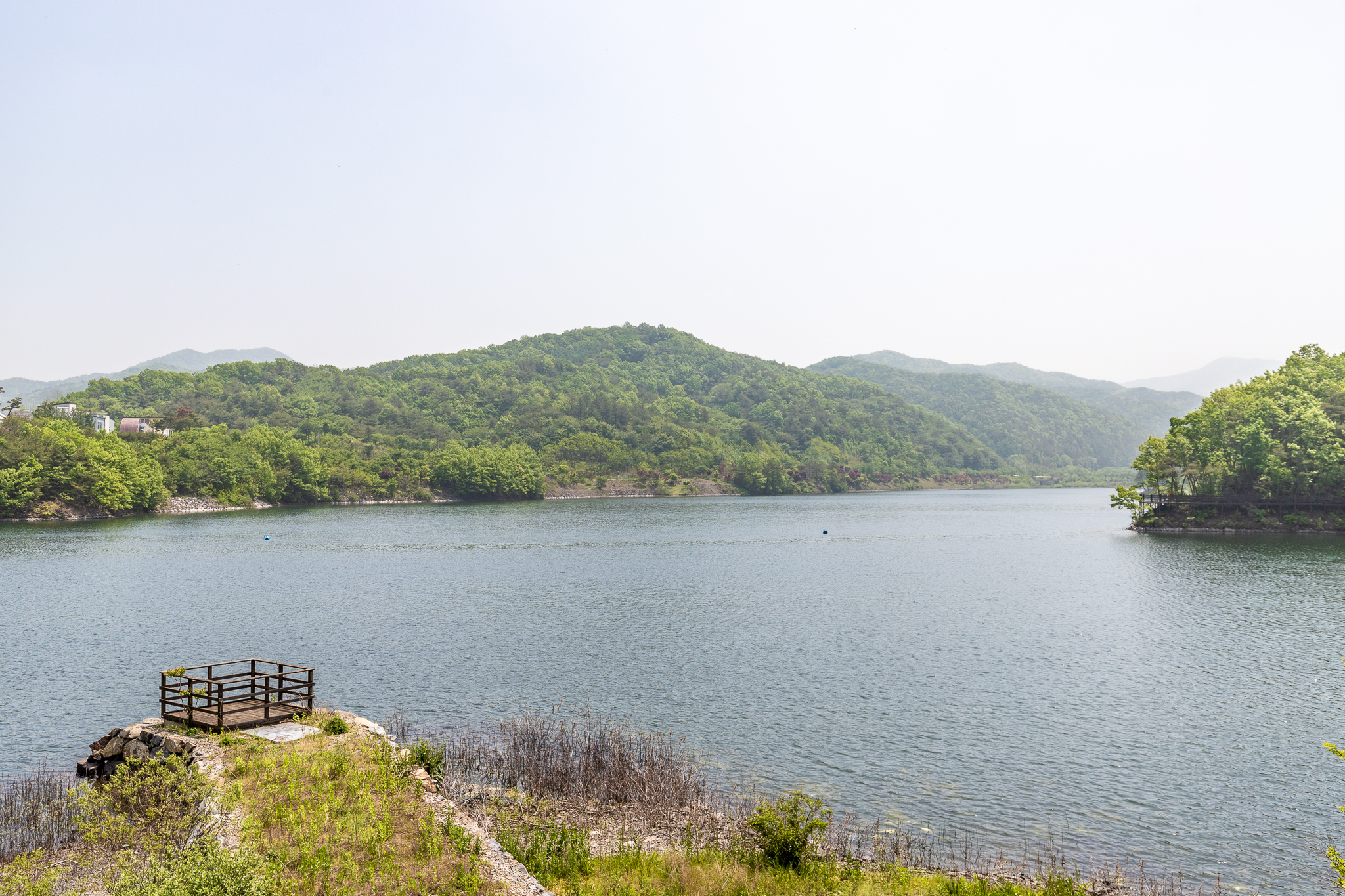 고목정