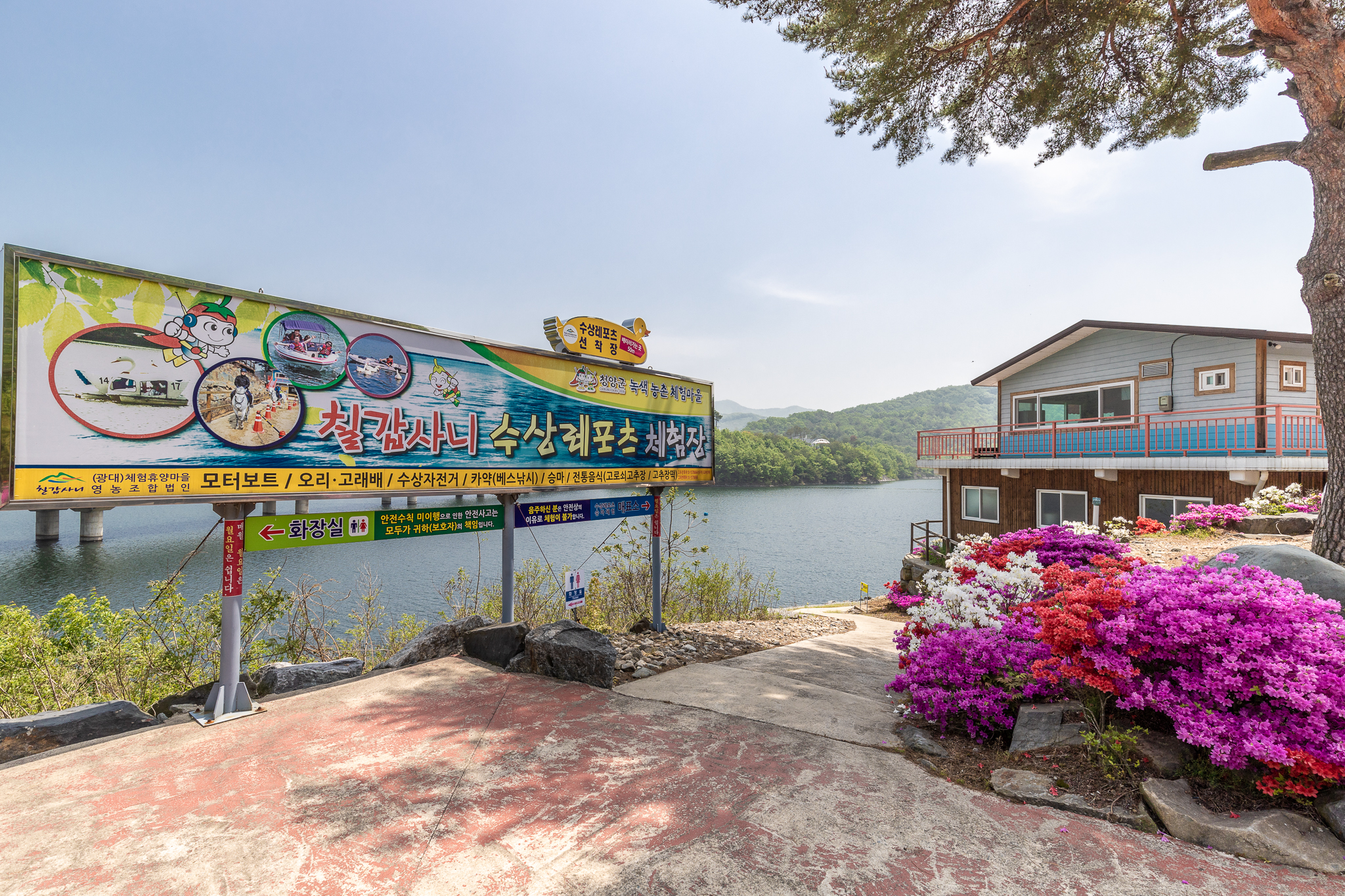 고목정