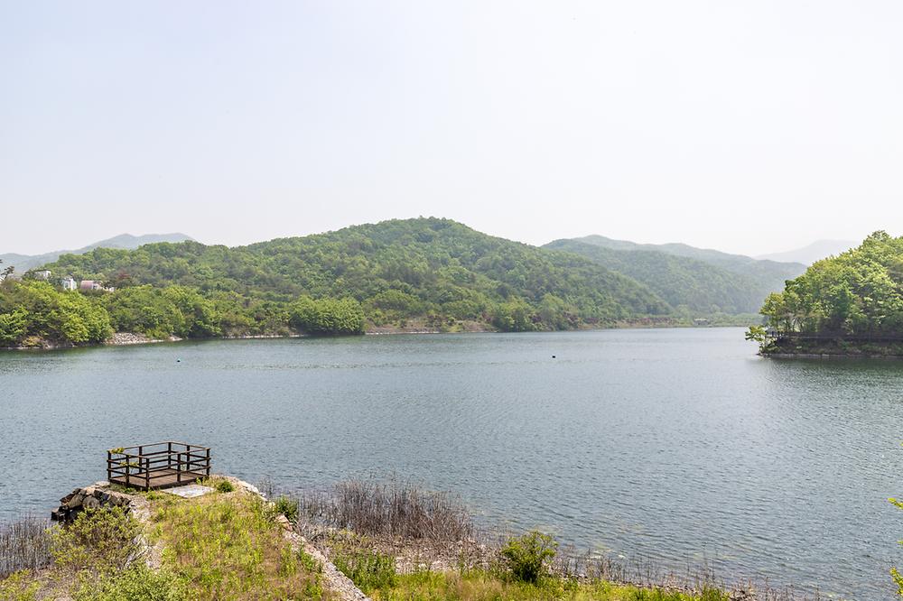 고목정
