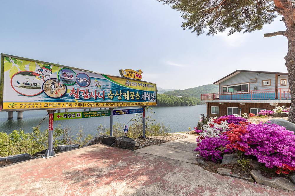 고목정