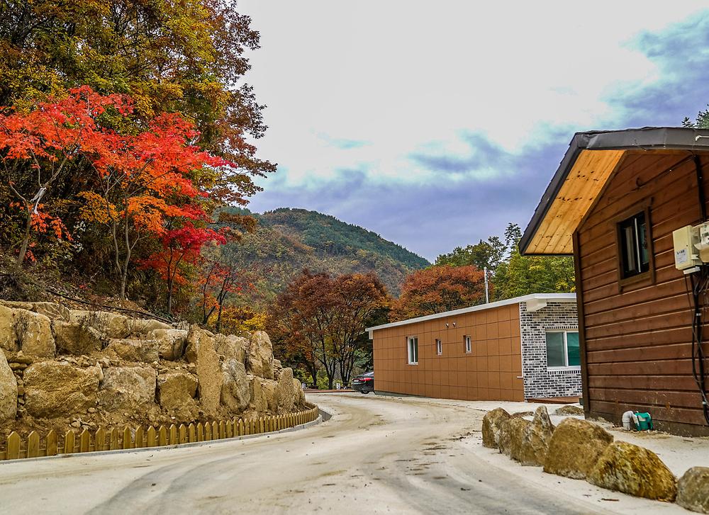 사계절 야영장