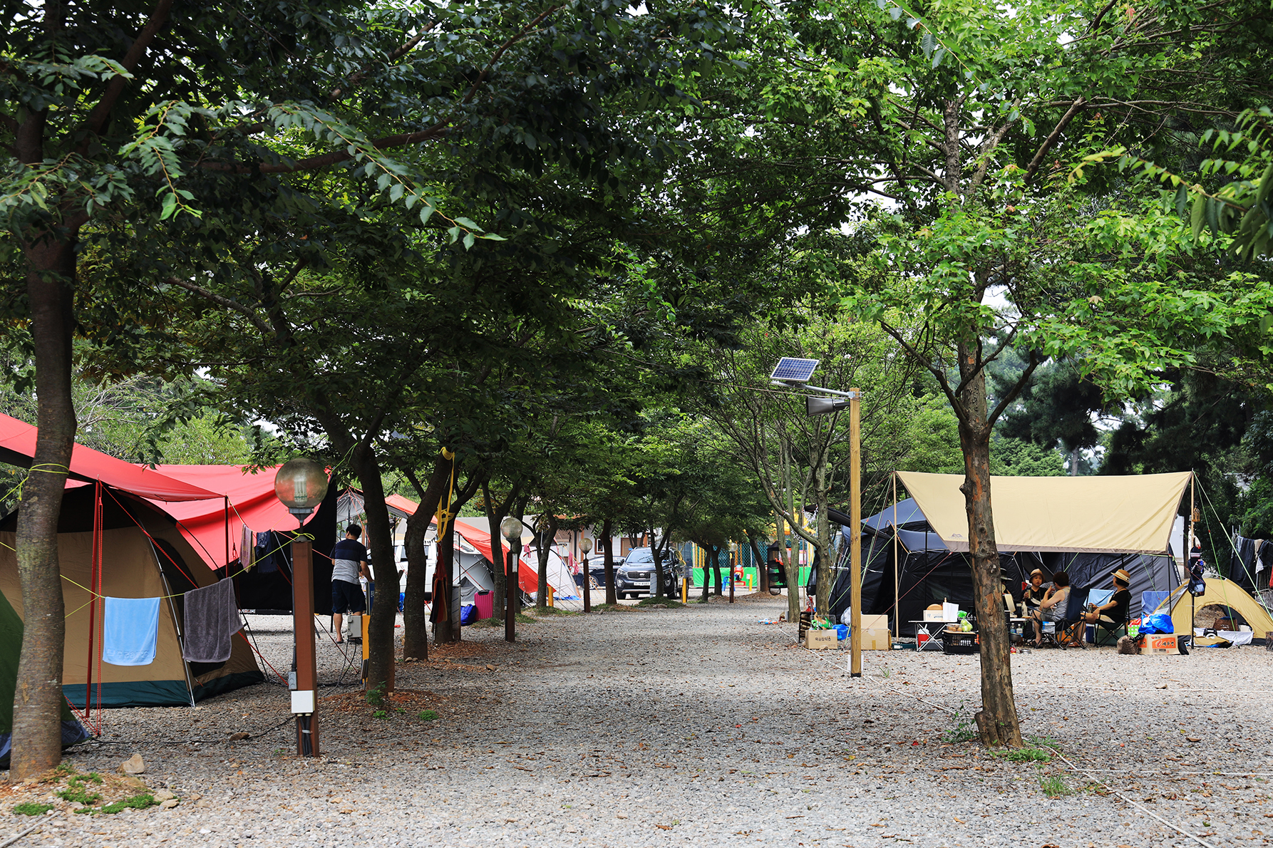 대부도나라캠핑장