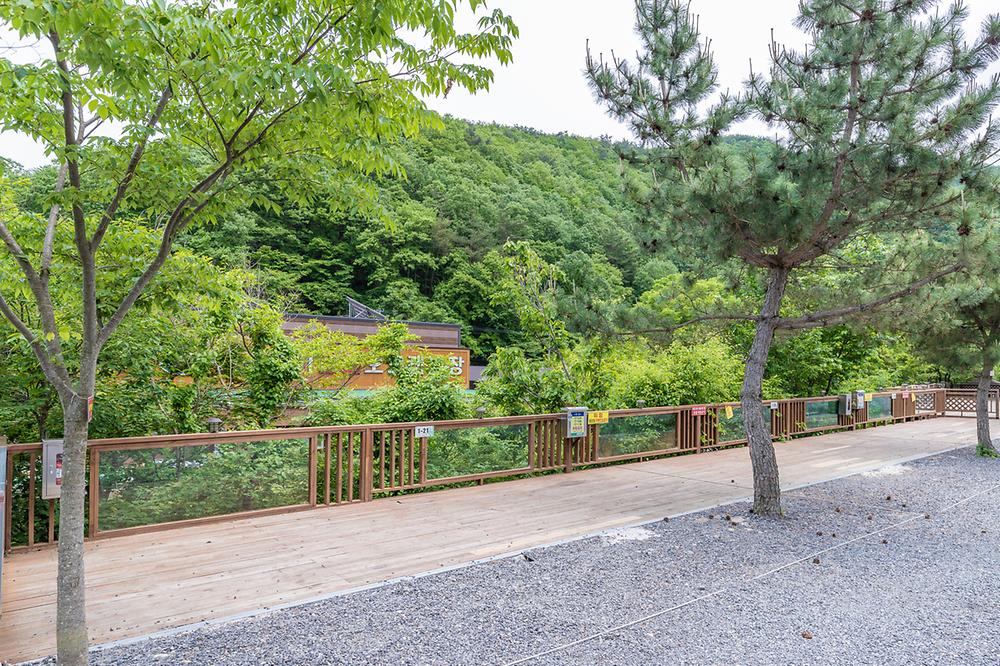 전원 오토캠핑장