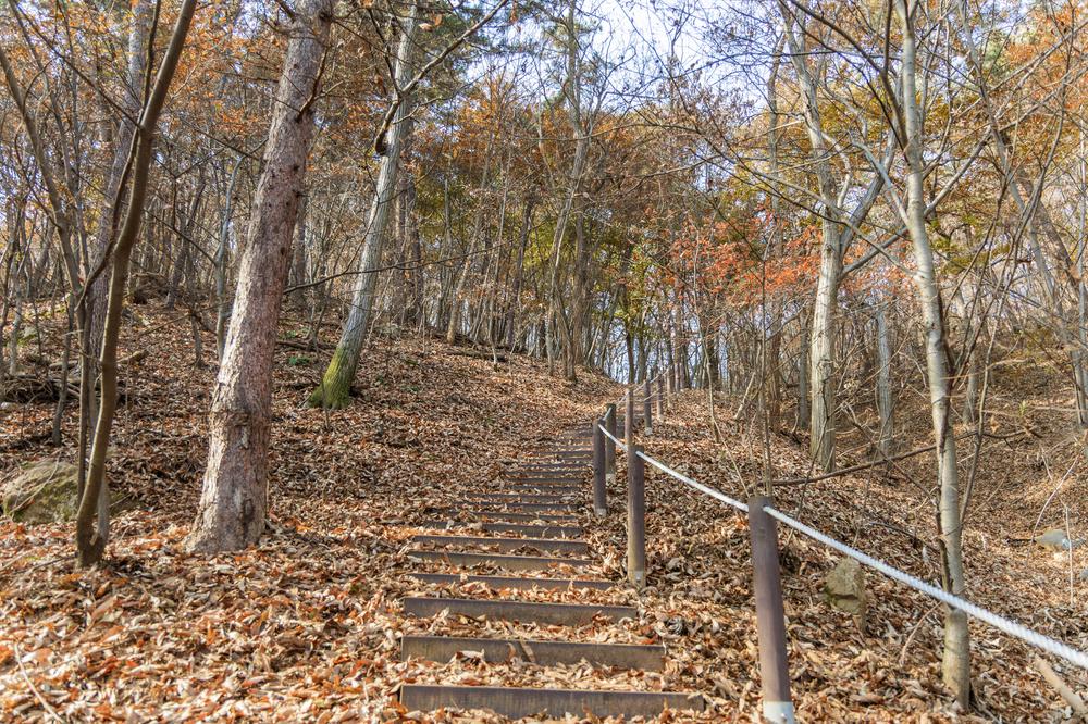 전월산 국민여가캠핑장