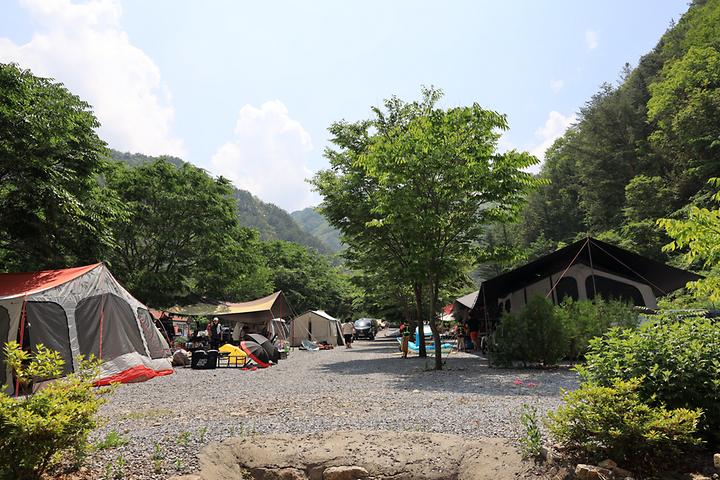 내리계곡 솔바람 캠핑장 메인 이미지