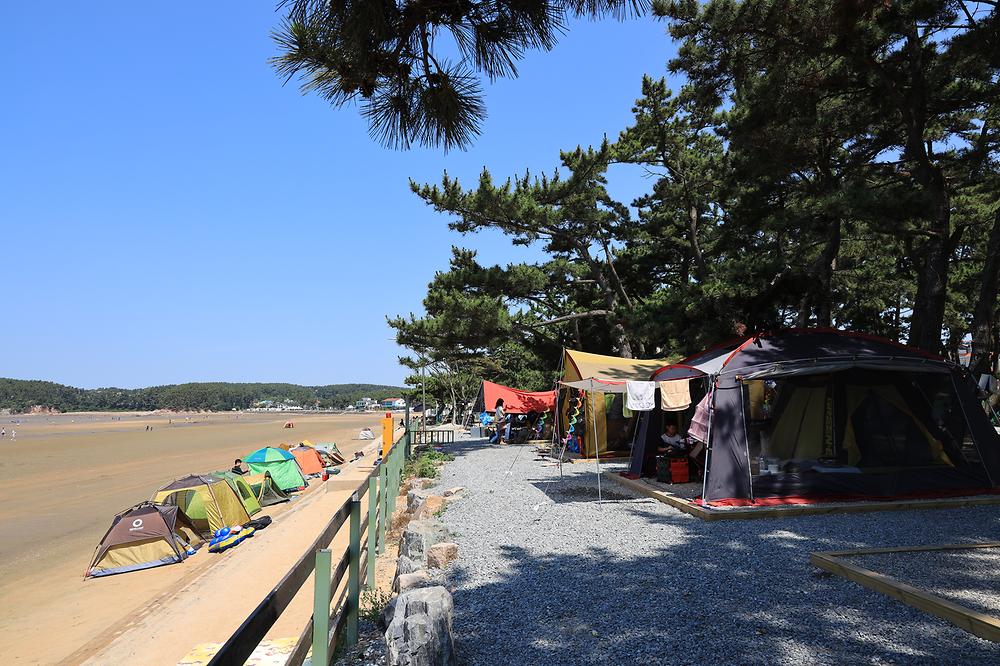 몽산포오토캠핑장