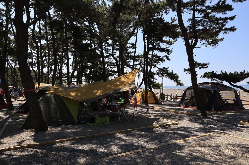 몽산포오토캠핑장