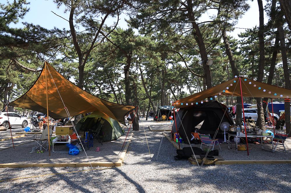 몽산포오토캠핑장