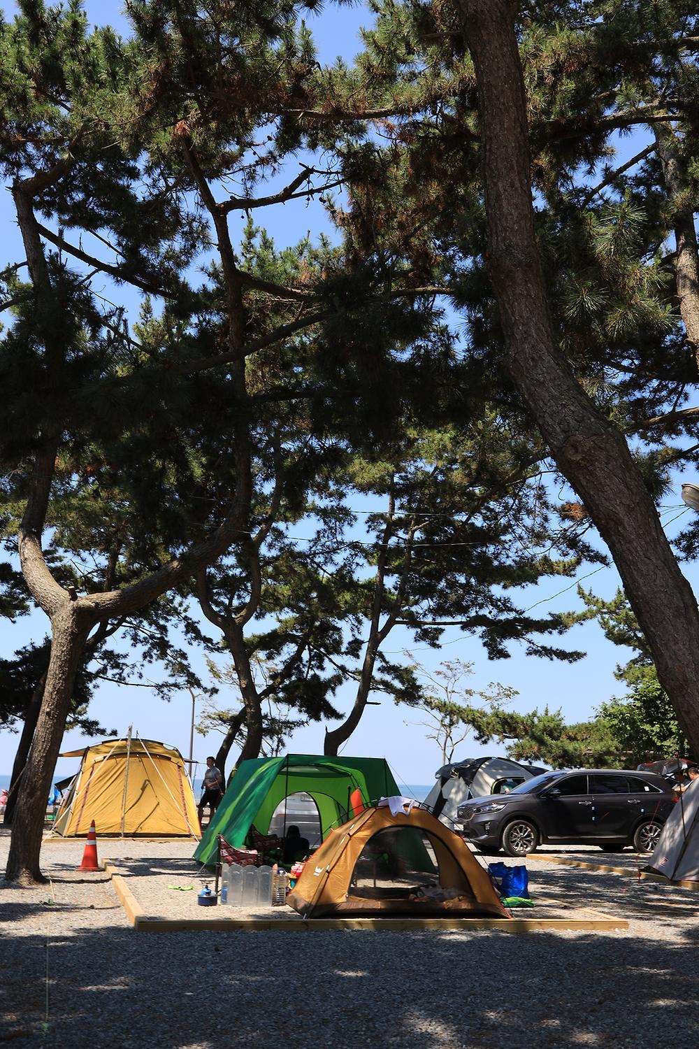 몽산포오토캠핑장