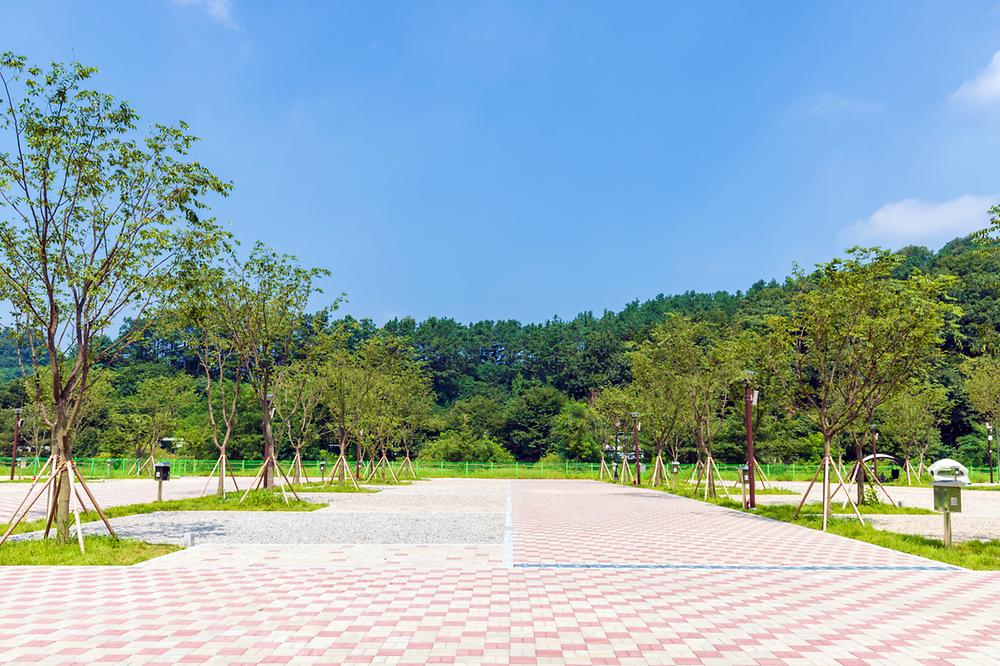 청주시 미래지농촌테마공원 오토캠핑장