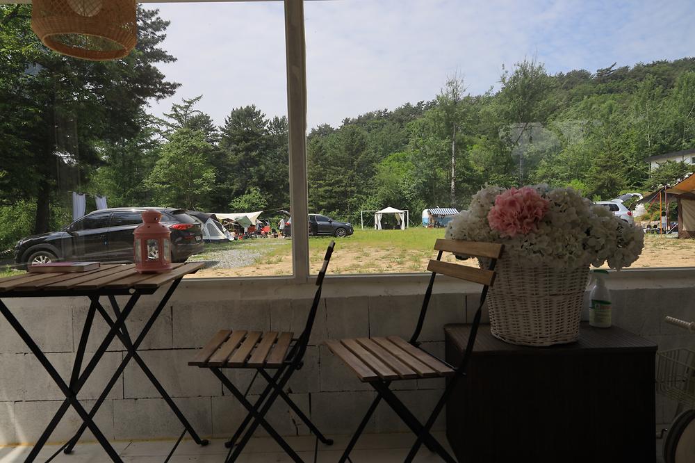 트리앤캠프스토리