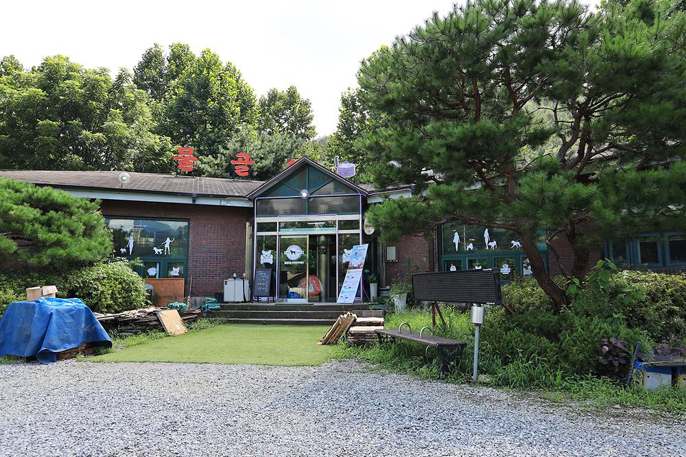 물동네 힐링 야영장