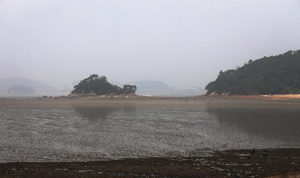 대부관광농원 오캠핑