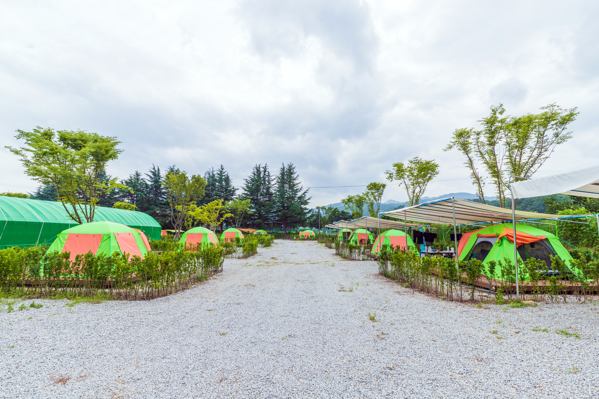 상주 감꽃마을 서울캠핑장