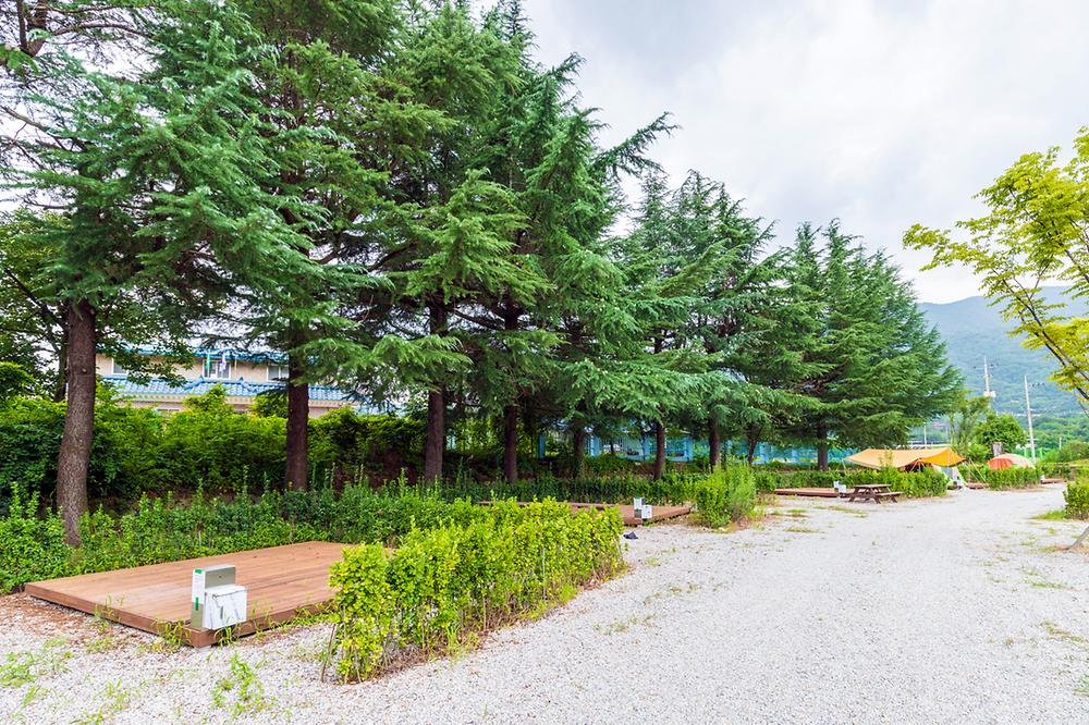 상주 감꽃마을 서울캠핑장